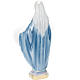 Estatua Virgen Milagrosa yeso nacarado 30 cm. s5