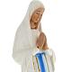 Our Lady of Banneux statue in plaster, 20 cm s2