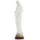 Our Lady of Banneux statue in plaster, 20 cm s4