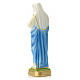 Sacred Heart of Mary statue in plaster, 20 cm s4