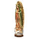 Madonna di Guadalupe 30 cm resina s2