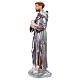 St Francis 30 cm in mother-of-pearl plaster s3