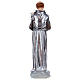 Saint Francis Plaster Statue, 30 cm with mother of pearl effect s5