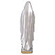 Virgen de Lourdes 30 cm yeso nacarado s5