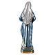 Immaculate Heart of Mary 15 cm, in plaster with mother of pearl s3