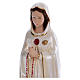 Mary Rosa Mystica statue in pearlized plaster 70 cm s2