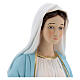 Virgen Milagrosa en resina 40cm s2