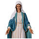 Miraculous Madonna statue in fiberglass, crystal eyes 150cm FOR OUTDOOR s3