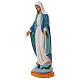 Miraculous Madonna statue in fiberglass, crystal eyes 150cm FOR OUTDOOR s4