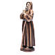 Saint Francis of Paola 31 cm in resin s2