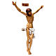 Body of Christ in resin 50x40 cm s4