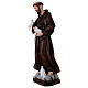 Saint Francis 60 cm Statue, in painted resin s3