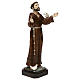 St. Francis statue in resin 30 cm s4