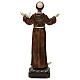 Saint Francis 30 cm Resin Statue s5