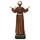 St. Francis Resin Statue, 20 cm s5