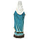 Immaculate Mary statue in resin 40 cm s5