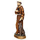 St Francis with wolf 30 cm resin statue s3