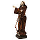 St. Francis statue in resin and fabric 20 cm s3