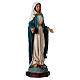 Immaculate Mary statue in resin 30 cm s4