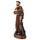 St. Francis with wolf statue in resin 20 cm s2