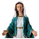 Immaculate Mary statue in resin 67 cm s2