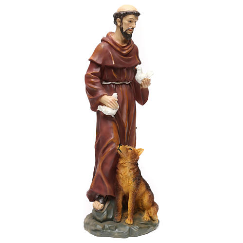 St. Francis with wolf statue in resin 50 cm 4