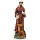 St. Francis with wolf statue in resin 50 cm s1