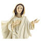 Hand painted resin statue of Our Lady of Medjugorje, Queen of Peace, height 22 cm s2
