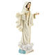 Hand painted resin statue of Our Lady of Medjugorje, Queen of Peace, height 22 cm s4