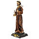 Statue aus Harz Franz von Assisi mit Tauben, 30x10 cm s2