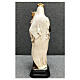 Statua Madonna del Carmine scapolare 34 cm resina dipinta s6