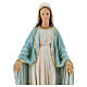 Statua Madonna Miracolosa serpente 25 cm resina dipinta s2