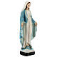 Statua Madonna Miracolosa stelle dorate 30 cm resina dipinta s3