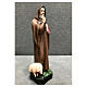 Statue Saint Antoine du Désert avec cochon 30 cm résine peinte s4