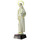 Fluorescent statue of Saint Anthony, PVC, 25 cm s3