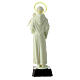 Fluorescent statue of Saint Anthony, PVC, 25 cm s4