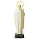 Fluorescent statue of the Sacred Heart of Jesus 24 cm s4