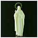 Statue Sacré-Coeur de Jésus fluorescent 24 cm s2