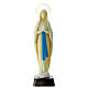 Fluorescent statue of Our Lady of Lourdes 25 cm s1