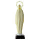 Estatua Virgen de Lourdes fosforescente 25 cm s4