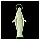 Estatua Virgen Milagrosa fosforescente 18 cm s2