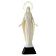 Statua Madonna Miracolosa fosforescente 18 cm s1