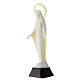 Statua Madonna Miracolosa fosforescente 18 cm s3