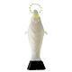 Statua Madonna Miracolosa fosforescente 18 cm s4