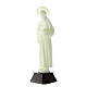 Saint Anthony's statue, fluorescent, 17 cm s3