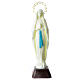 Statue Notre-Dame de Lourdes plastique fluorescent 18 cm s1