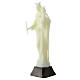 Estatua Virgen Auxiliadora fosforescente 18 cm s3