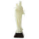 Estatua Virgen Auxiliadora fosforescente 18 cm s4