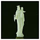 Mary Help of Christians' statue, fluorescent plastic, 10 cm s2