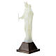 Estatua Virgen de Lourdes fosforescente 10 cm s3